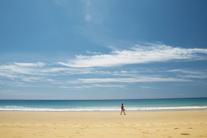 Porto Santo One-Day Cruise and Tour - The Return Transfer Requires Attention