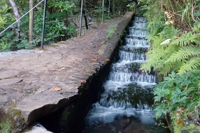 PR6 25 Fountains/Risco Levada Walk - From your pickup point to Rabaçal