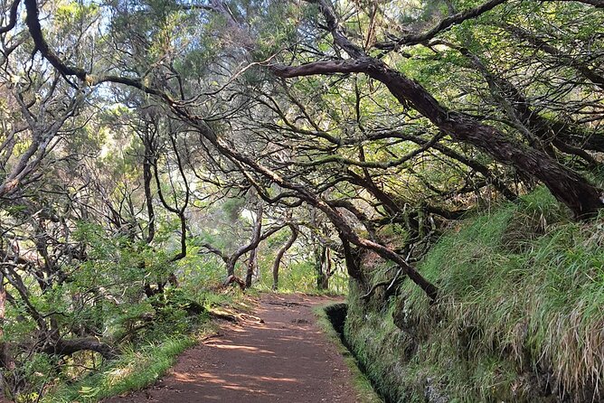 PR6 & PR6.1 25 Fontes & Risco Levada Self-Guided Hiking Rabaçal - Key points at a glance