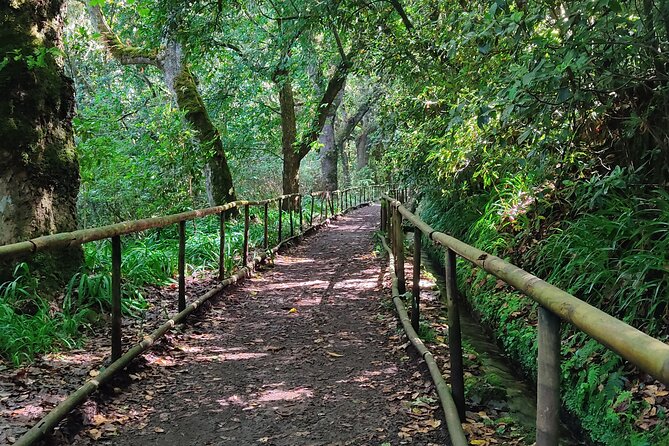 PR9 Caldeirão Verde Queimadas Levada Self-Guided Hiking Transfer - What the Caldeirão Verde walk is really like