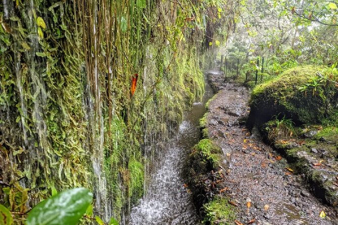 PR9 Caldeirão Verde Queimadas Levada Self-Guided Hiking Transfer - Is $39.76 good value?