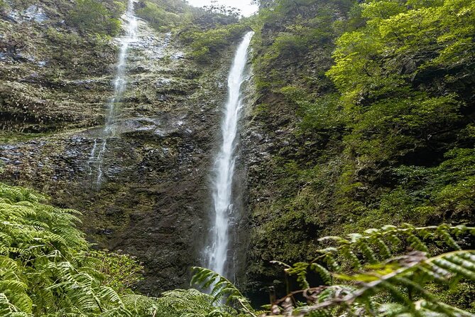 PR9 Caldeirão Verde Queimadas Levada Self-Guided Hiking Transfer - Weather, clothing, and timing