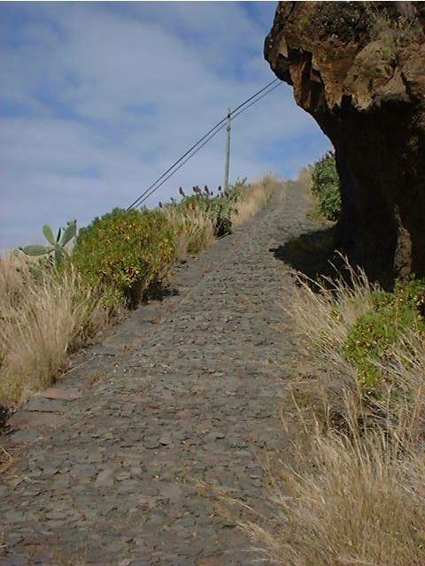 Prazeres: Full-Day Nature Walk - Key points to know before booking