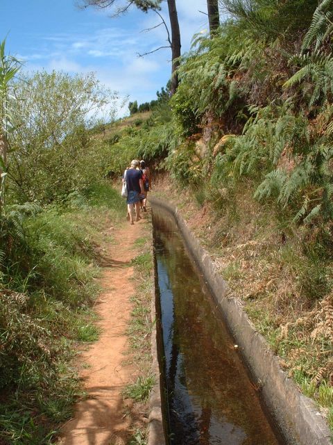 Prazeres: Full-Day Nature Walk - What this western Madeira walk is really like