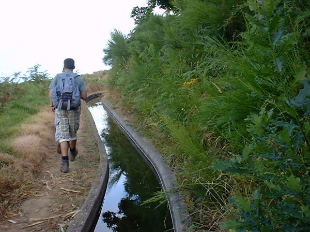 Prazeres: Full-Day Nature Walk - Prazeres, Madeira’s village of pleasure