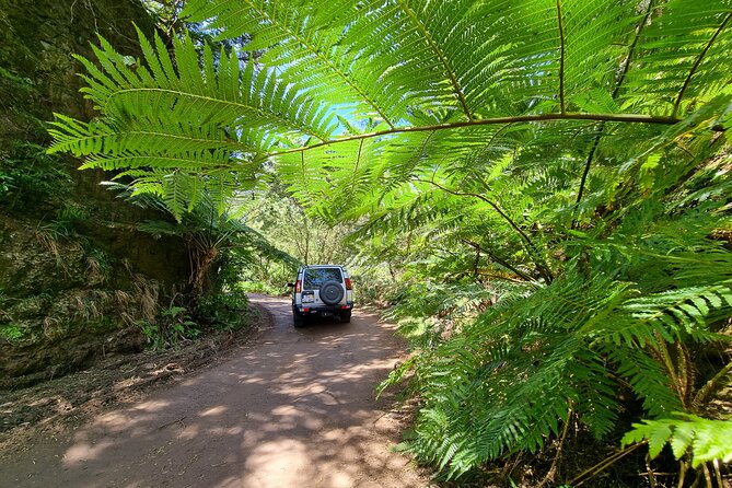 Private 4x4 Jeep Full Day Porto Moniz or Santana - The east route: high peaks and laurel forest