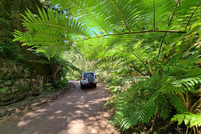 Private 4x4 Jeep Half Day - Picturesque Peaks, Vineyards, Skywalk - Price, group size, and what you really pay