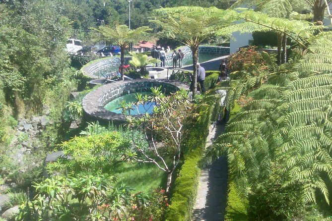 Private - Balcões Walk & A-Framed Houses Tour - Ribeiro Frio links forest, water, and levada country