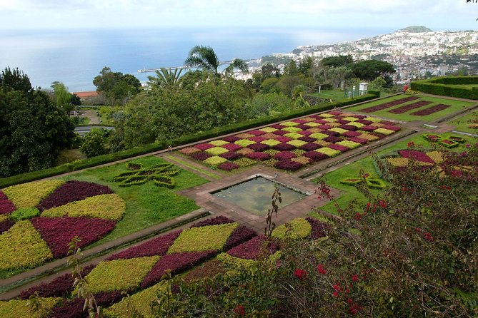 Private Botanical Garden Tour - Madeira Botanical Garden, with about one hour inside