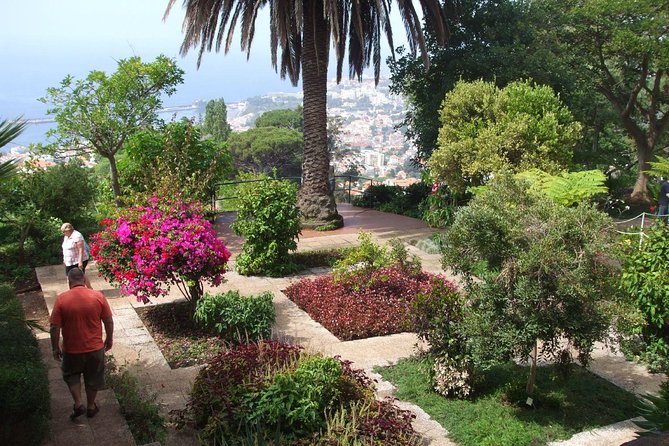 Private Botanical Garden Tour - The downhill return through central Funchal