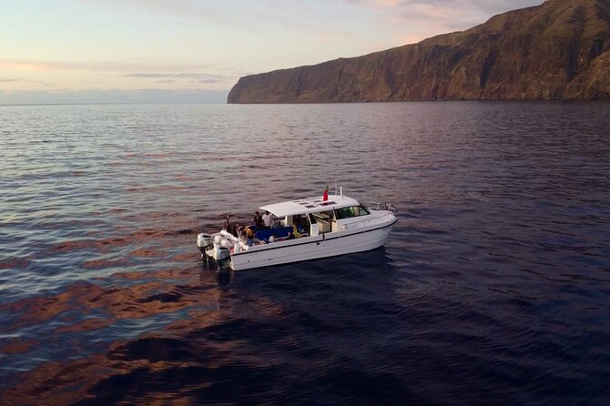 Private Cruise to Calheta and Caniçal Coasts - Choosing Caniçal for the north side