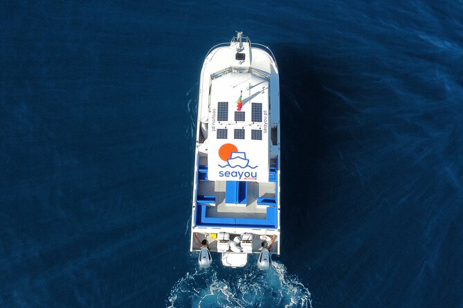Private Cruise to Calheta and Caniçal Coasts - A calm cruise, not a rushed sightseeing circuit