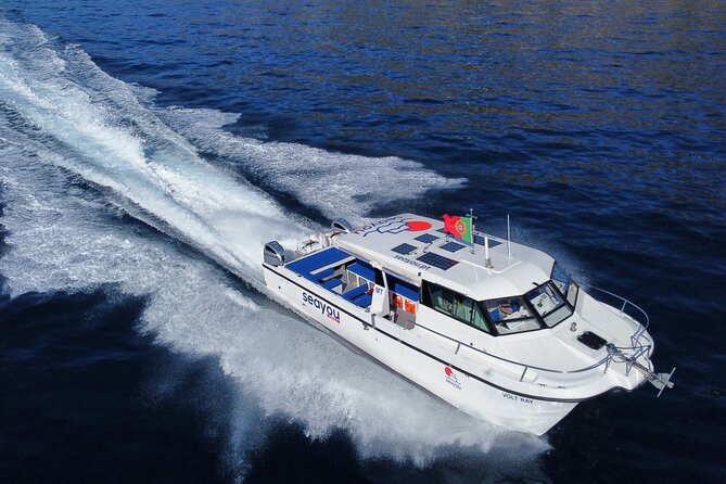 Private Cruise to Calheta and Caniçal Coasts - Who will enjoy this most?