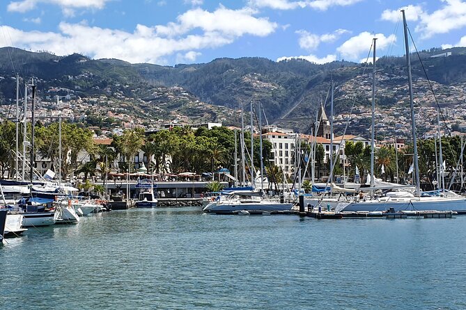 Private Cruise with Wine Tasting in Funchal Bay - Learning simple navigation from the captain
