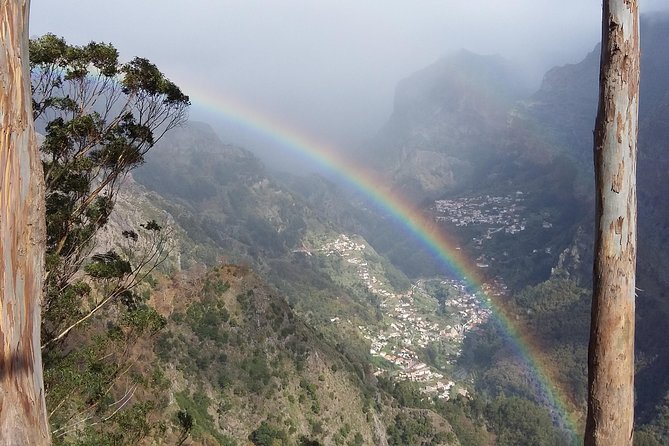 Private & Customizable Safari 4x4 Half-Day Shore Excursion - Why a private 4x4 works so well in Madeira