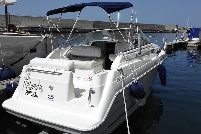 Private Dolphin and Whale Watching Tour in Madeira - Seeing Madeira from the Atlantic