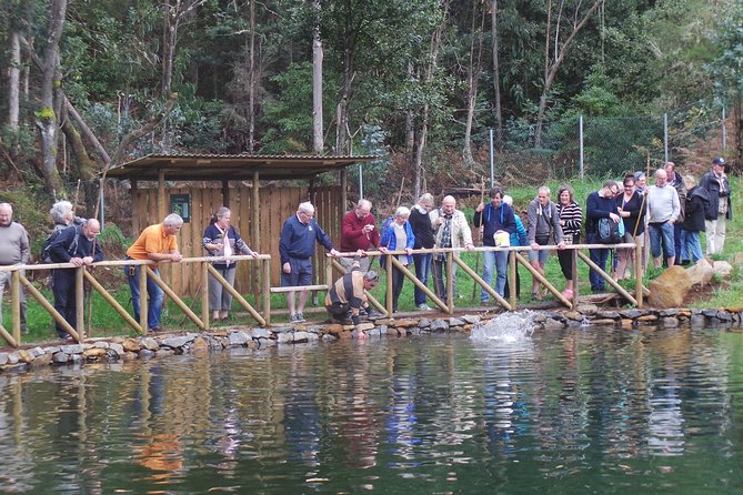 Private Full Day 4X4 Experience: East or West - Should you book this private Madeira 4x4 tour?