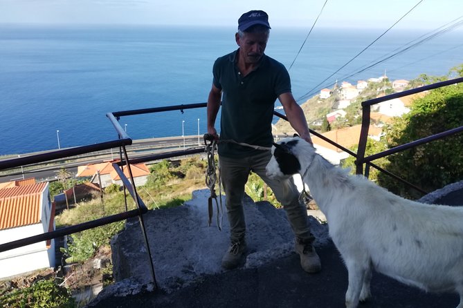 Private Full-Day - Comfort 4x4 Tour - NorthWest - From Funchal to the sunny southwest
