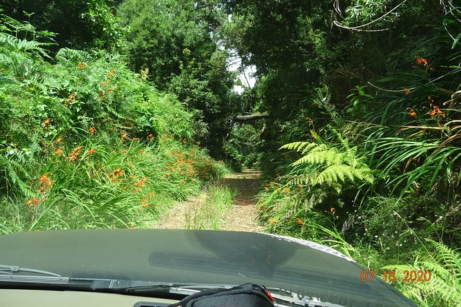 Private Full Day Off-Road Tour in Madeira - Porto Moniz: lunch and volcanic swimming pools