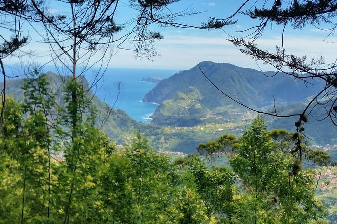 Private Full Day Off-Road Tour in Madeira - What the ride feels like in practice