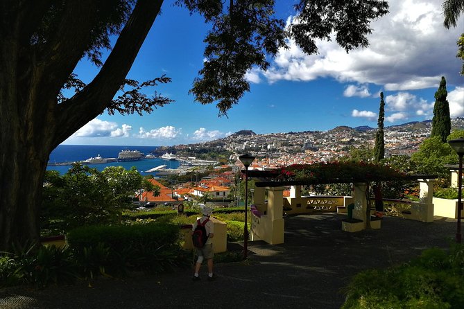 Private Funchal City Tour by Tukxi - Why a Tukxi fits Funchal so well