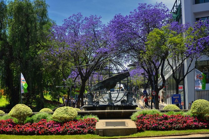 Private Funchal City Tour by Tukxi - Guides make the difference