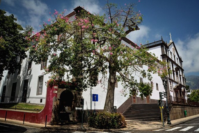 Private Funchal City Tour by Tukxi - Quinta das Cruzes begins with old Funchal