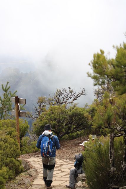 Private - Gastro Hike with Levada Walk and Local Food - Poncha, Madeira’s Social Drink
