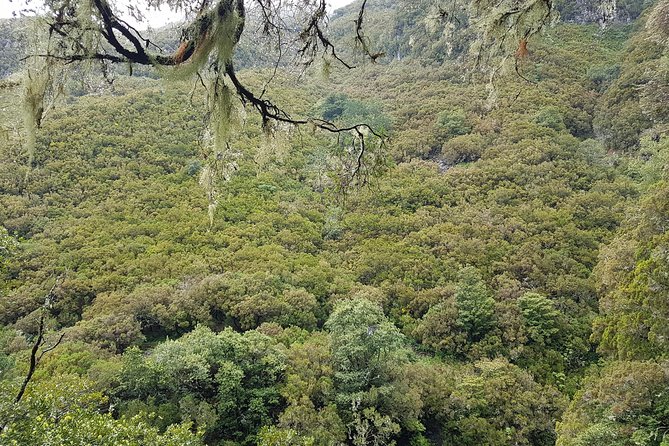 Private Guided Walk Levada 25 Fontes - Price and value at $107.84 per person