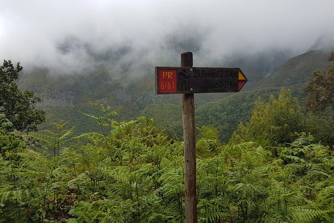 Private Guided Walk Levada 25 Fontes - Who will enjoy this outing most