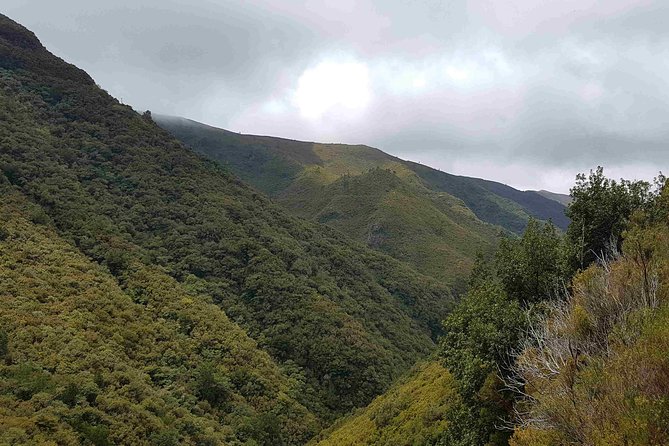 Private Guided Walk Levada 25 Fontes - Booking, timing, and cancellation details