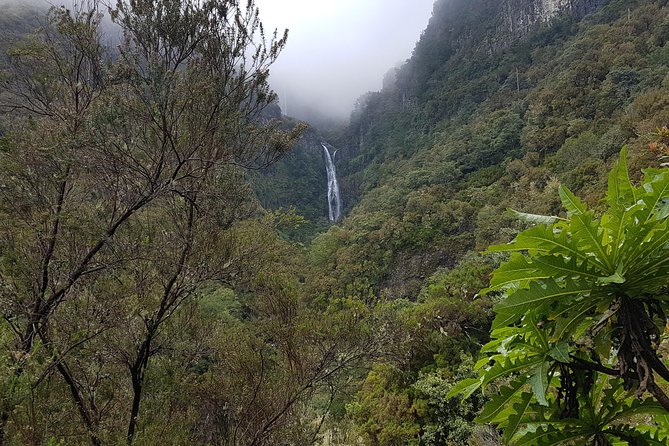 Private Guided Walk Levada 25 Fontes - Cascada da Risco adds a second payoff