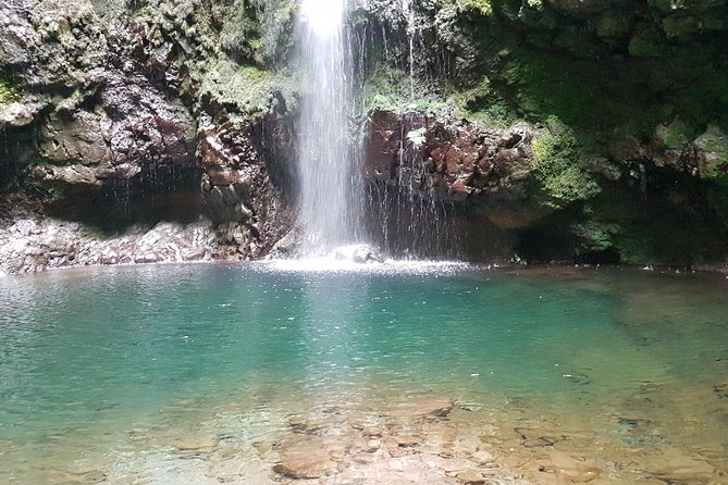 Private Guided Walk Levada Caldeirao Verde - Why Caldeirão Verde feels different from a standard Madeira hike