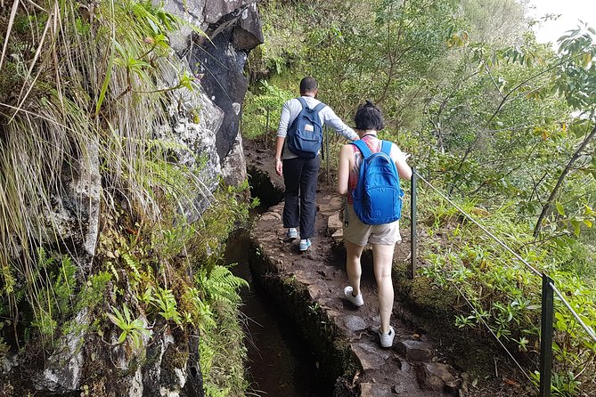 Private Guided Walk Levada Caldeirao Verde - What the private format adds