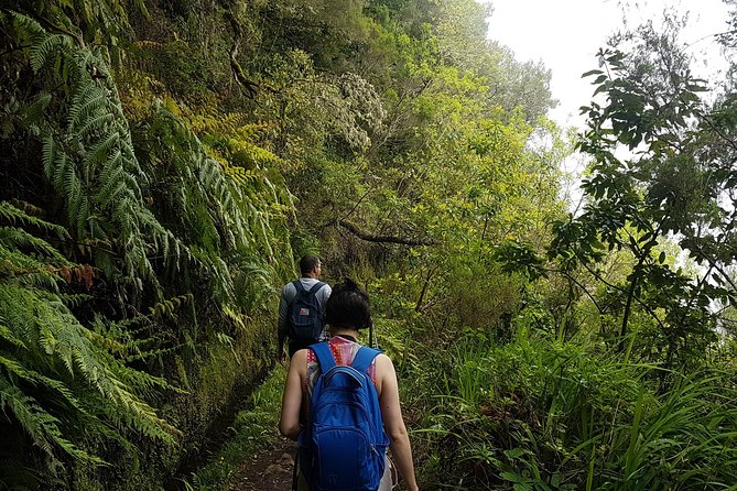 Private Guided Walk Levada Caldeirao Verde - What to wear and bring