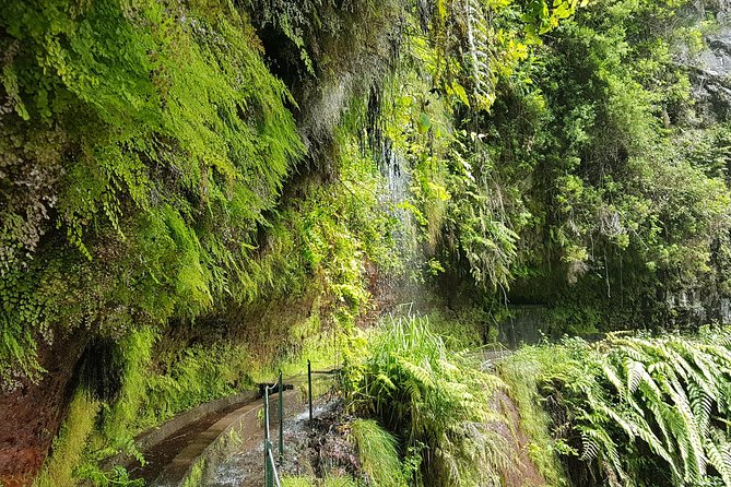 Private Guided Walk Levada do Rei - Starting in Funchal with private pickup