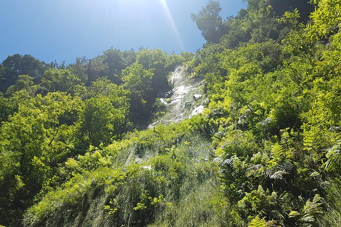 Private Guided Walk Levada do Rei - Who will get the most from this walk?