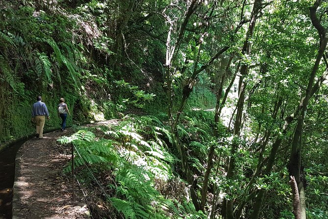 Private Guided Walk Levada do Rei - Why a private guide changes the experience
