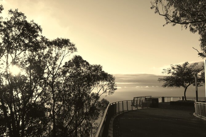 Private Half-Day Morning 4x4 Tour from Funchal - Cabo Girão and the glass platform