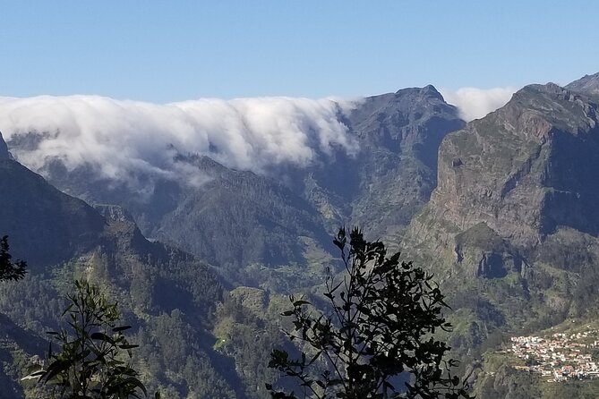 Private Half Day Off Road Tour in Madeira - The eucalyptus forest and the off-road section