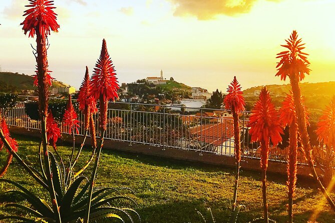Private Half day tour around Madeira Island - Who will get the most from this tour