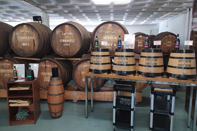 Private Half-Day Tour of Wine Fields in Portugal - Madeira wine tasting to finish