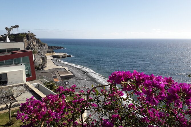 Private Half-Day Tour of Wine Fields in Portugal - What the private format adds