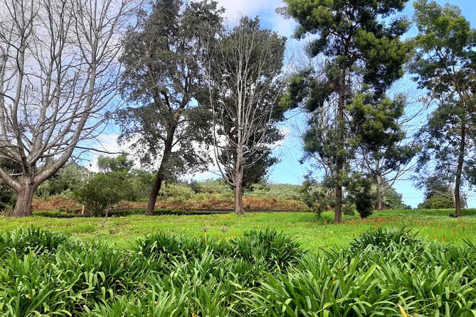 Private Halfday Flower Palheiro Gardens Tour - Guides Sergio and Richard, and what to expect