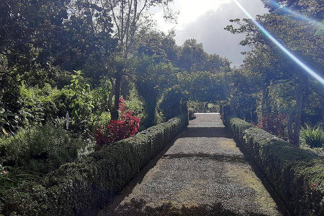 Private Halfday Flower Palheiro Gardens Tour - The Hortensia Garden issue you should take seriously