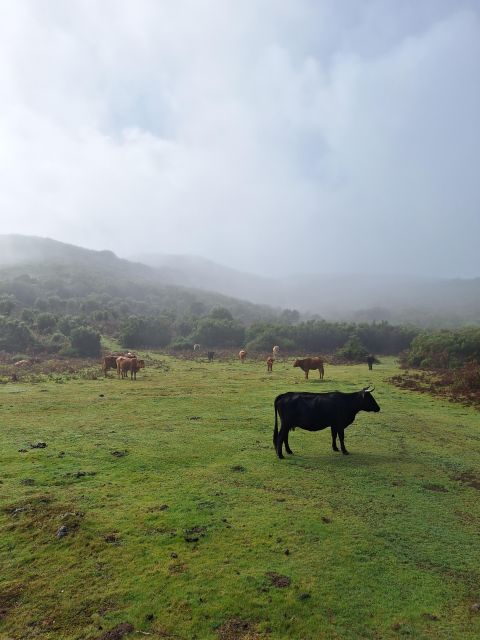 Private Madeira Highlights Full Day Tour - Véu da Noiva closes the scenic route