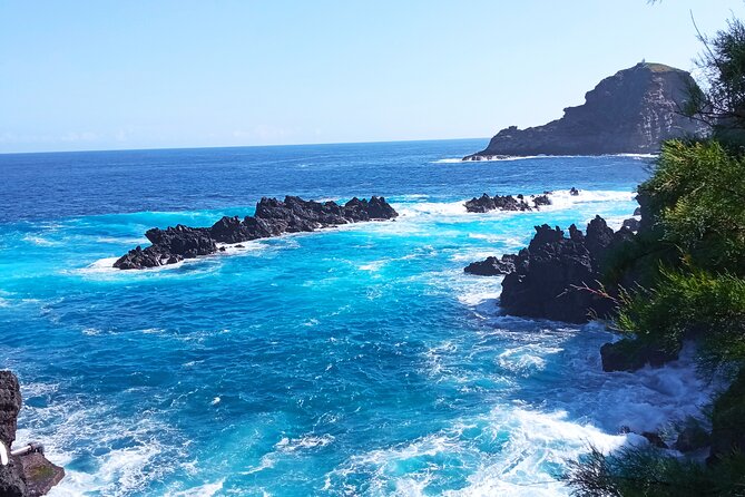 Private Madeira Island Tour: The Most Complete 8-Hour Experience - What the private format is really worth