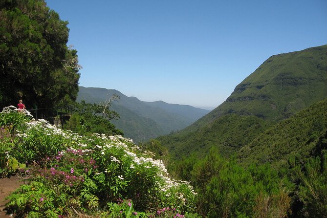 Private Madeira tour 8 people - What six to seven hours feels like on the island
