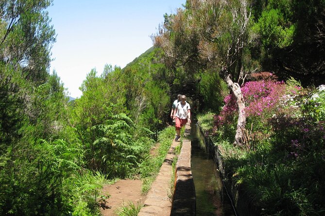 Private Madeira tour 8 people - Bruno and the value of traveling with only your group