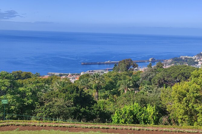Private Sidecar Tour – Downtown Funchal for 1 or 2 People - Comfort, safety, and the two passenger positions